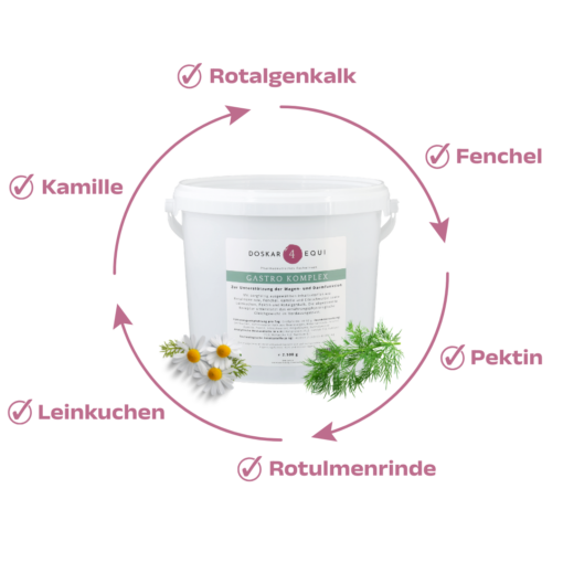 D4E Gastro Komplex