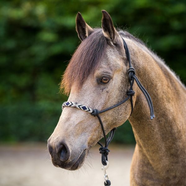 Knotenhalfter-Set LAMU - schwarz "HV POLO FS26"