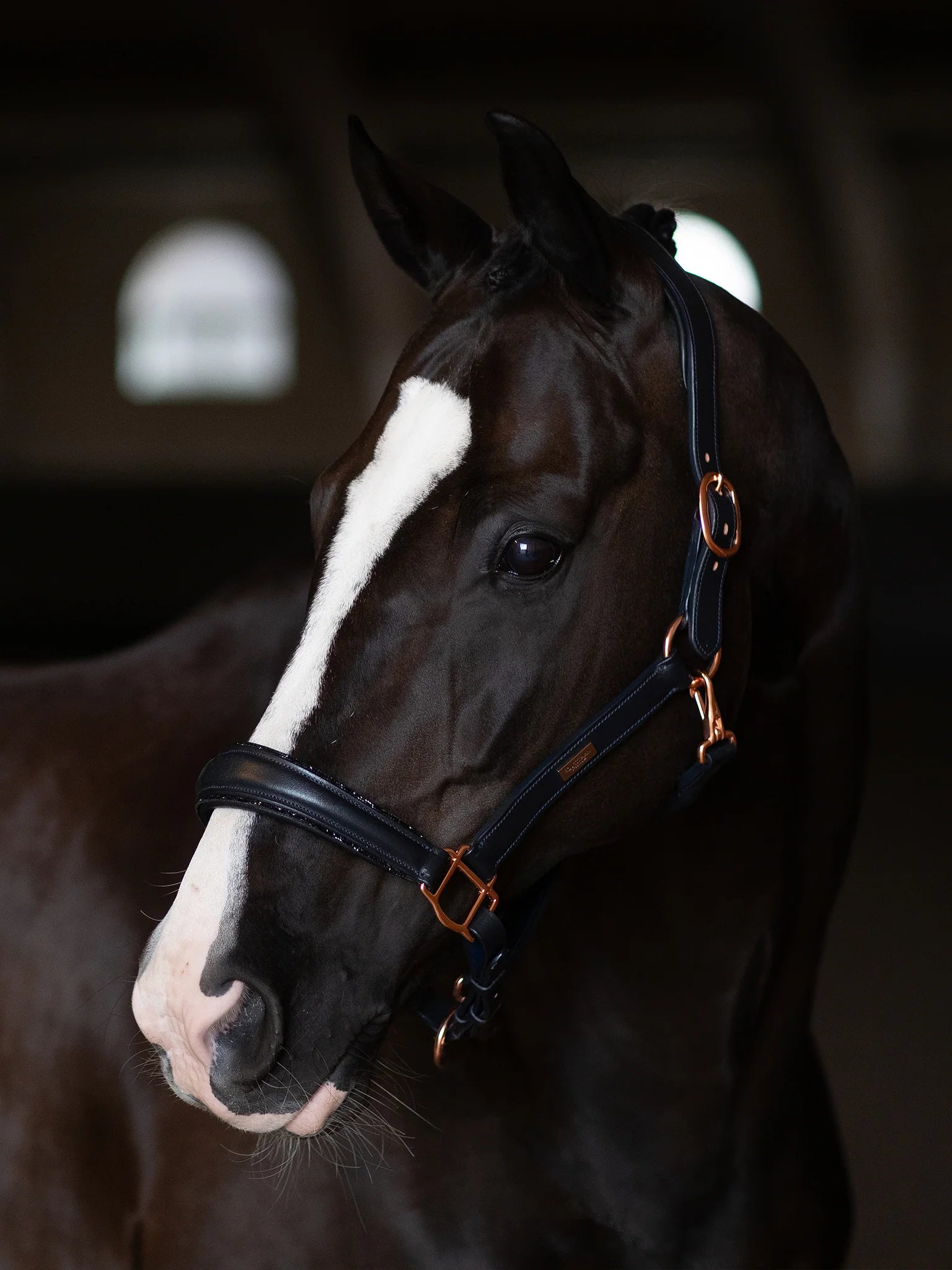 Equestrian Stockholm Lederhalfter Anatomic Glimmer - dark ocean