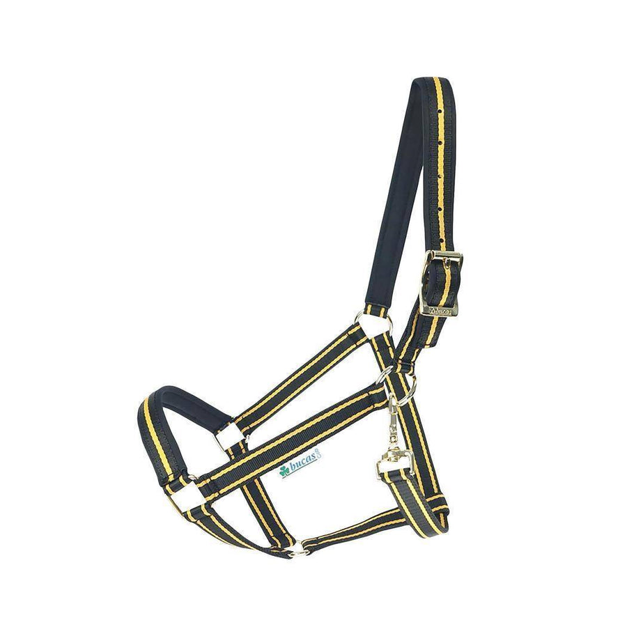 Halfter DUBLIN - schwarz/gold
