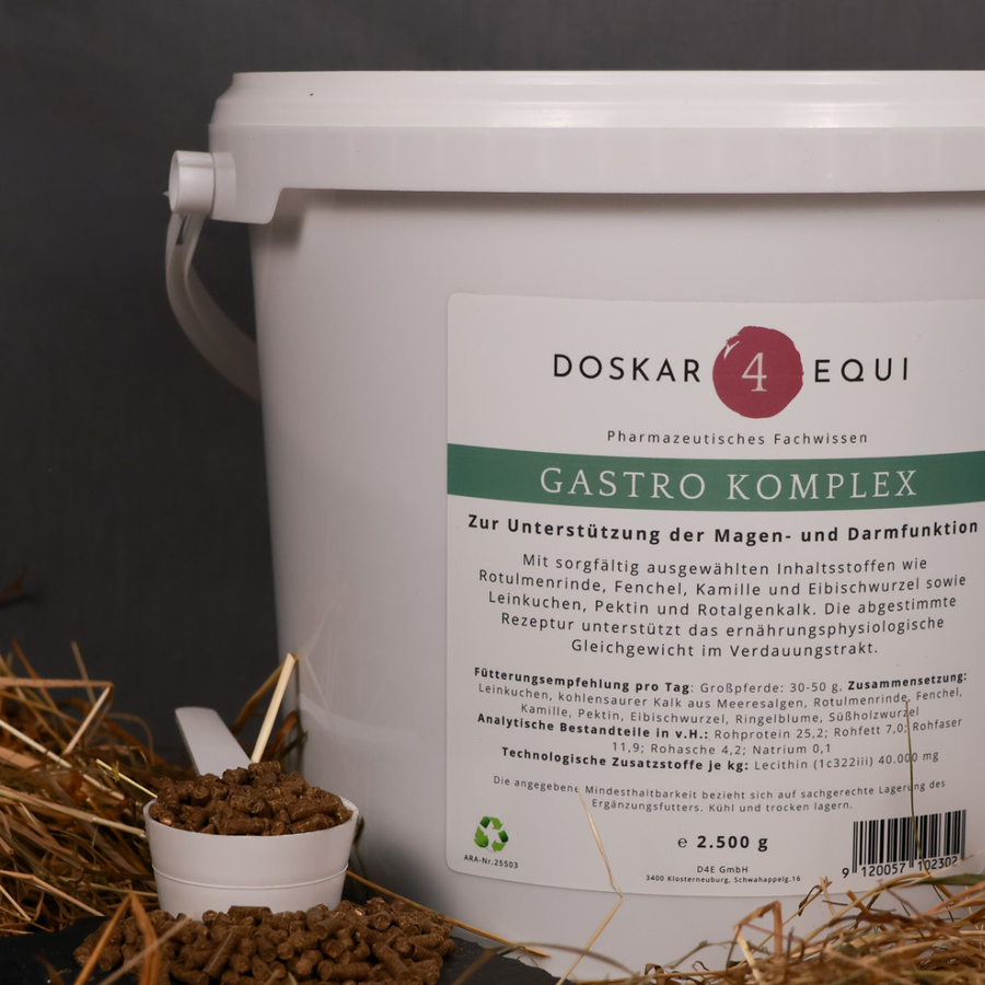 D4E Gastro Komplex