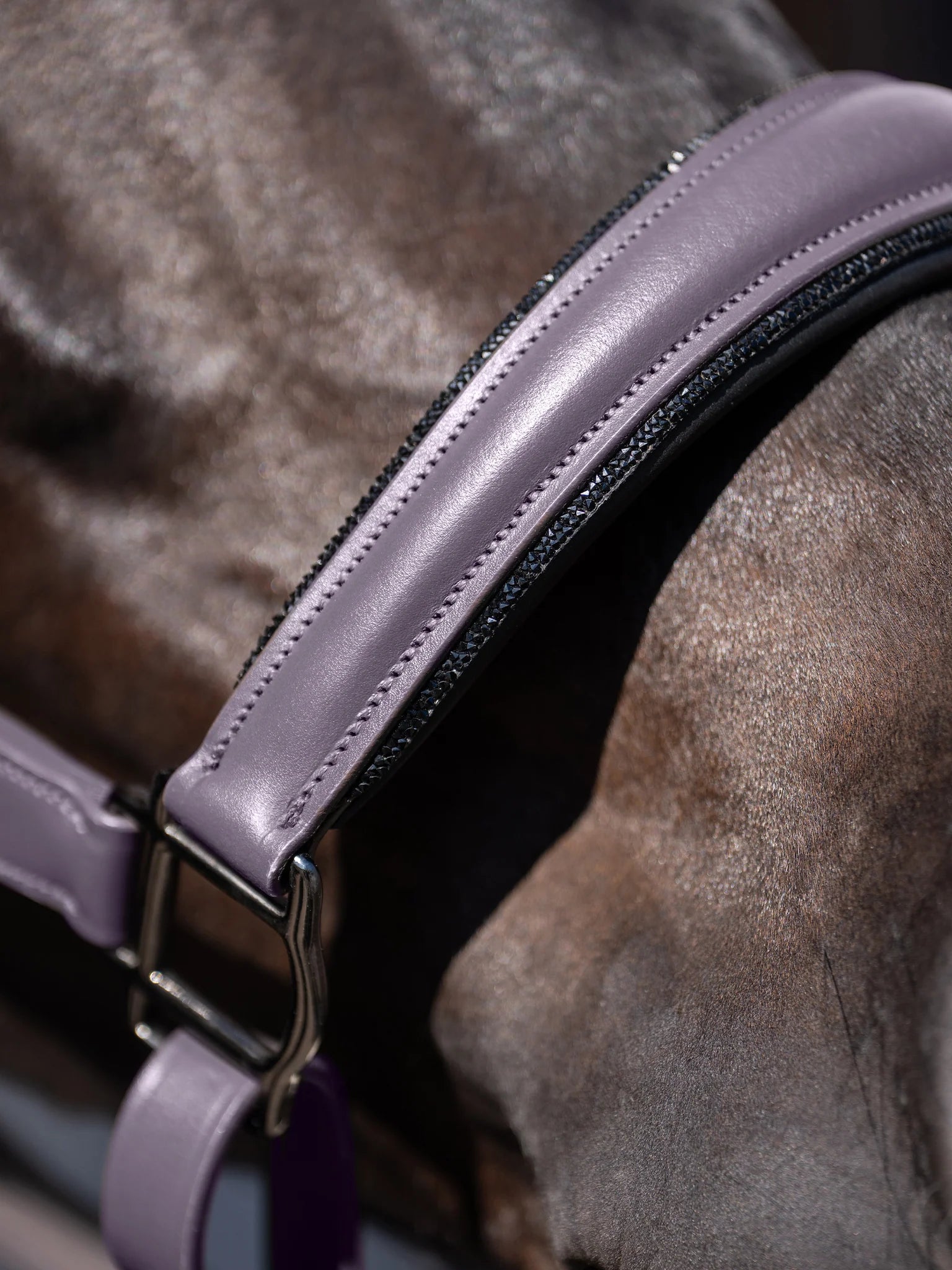 Equestrian Stockholm Lederhalfter Anatomic Glimmer - dark violet