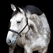 Lederhalfter NOVI - schwarz