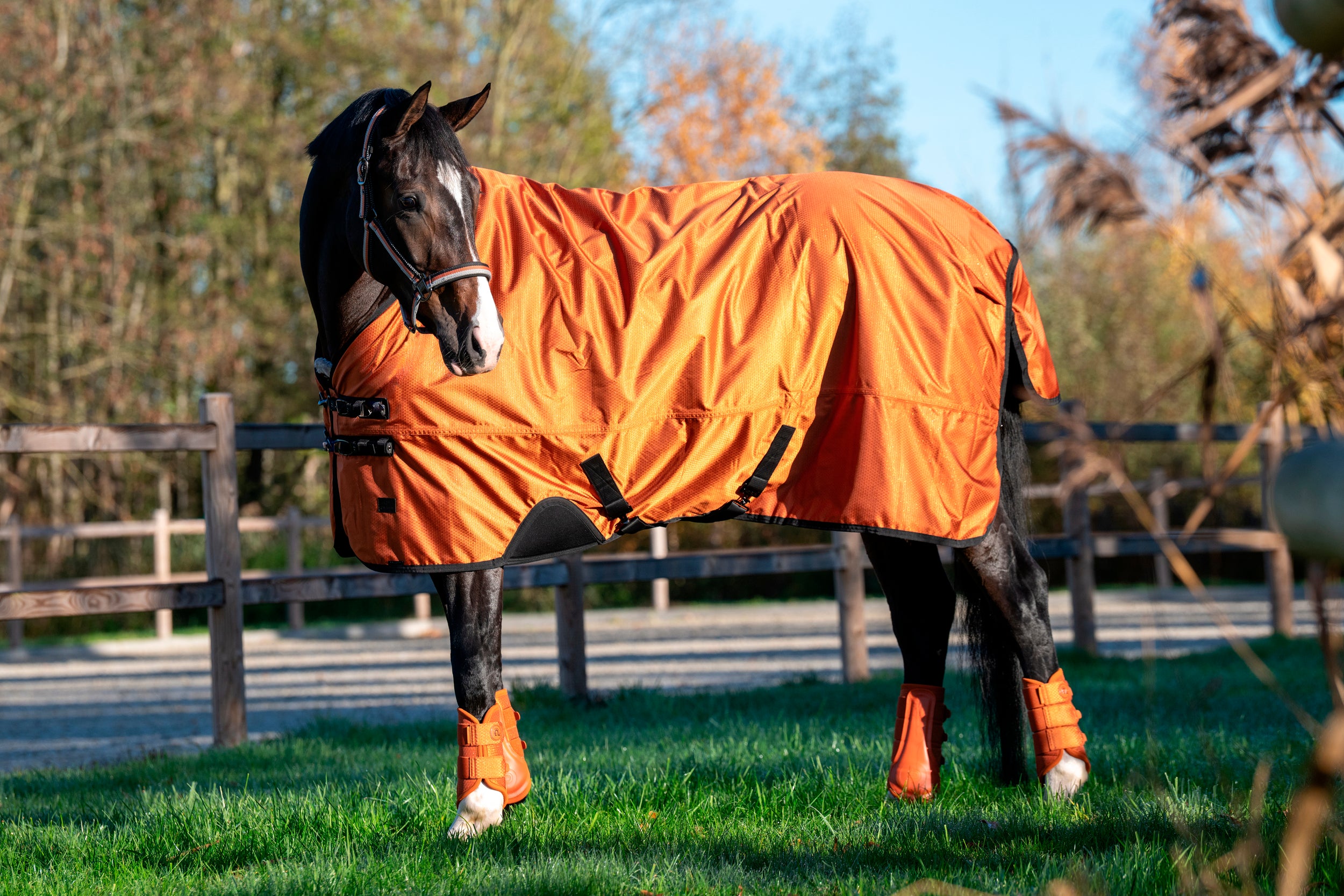 Outdoordecke ALPHA 1200D - amber "Eskadron Platinum 26"