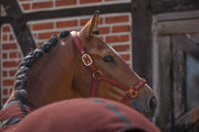 Halfter SPARKLE DOUBLE PIN- merlot "Eskadron Heritage 26/27"