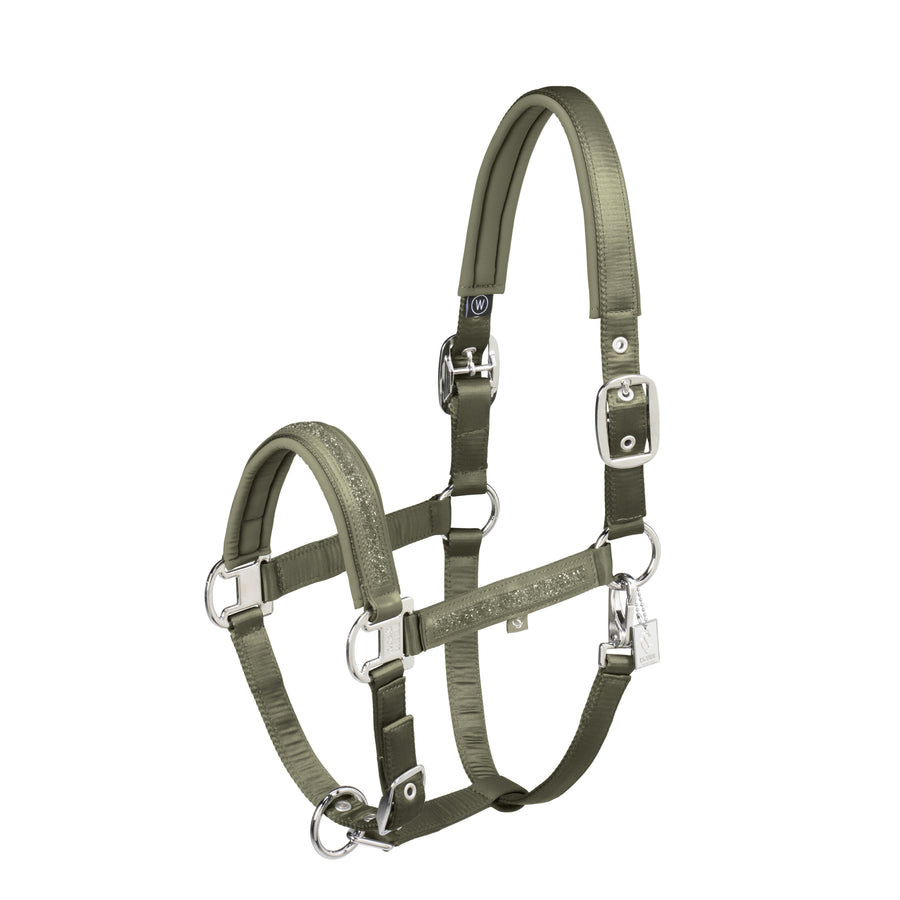 Halfter MATTGLOSS JEWEL DOUBLE PIN - dusty olive "Eskadron Classic Sports FS25"