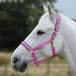 Halfter DUBLIN - spicy pink